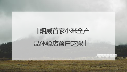 烟威首家小米全产品体验店落户芝罘