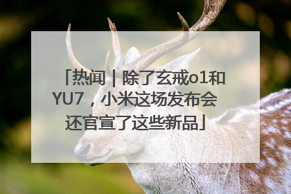 热闻｜除了玄戒o1和YU7，小米这场发布会还官宣了这些新品