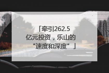 牵引262.5亿元投资，乐山的“速度和深度”