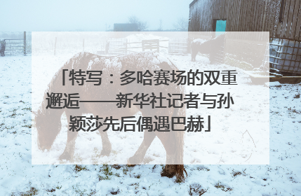 特写：多哈赛场的双重邂逅——新华社记者与孙颖莎先后偶遇巴赫