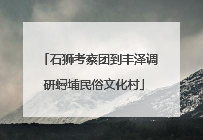 石狮考察团到丰泽调研蟳埔民俗文化村