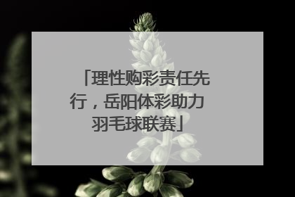 理性购彩责任先行，岳阳体彩助力羽毛球联赛