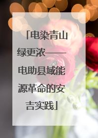 电染青山绿更浓——电助县域能源革命的安吉实践