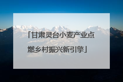 甘肃灵台小麦产业点燃乡村振兴新引擎