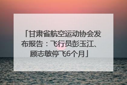 甘肃省航空运动协会发布报告：飞行员彭玉江、顾志敏停飞6个月