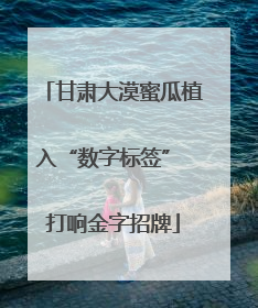甘肃大漠蜜瓜植入“数字标签” 打响金字招牌