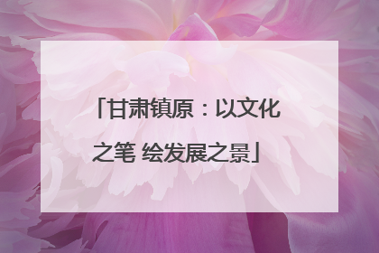 甘肃镇原：以文化之笔 绘发展之景