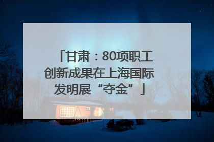 甘肃：80项职工创新成果在上海国际发明展“夺金”