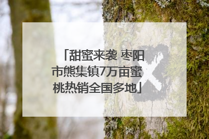 甜蜜来袭 枣阳市熊集镇7万亩蜜桃热销全国多地