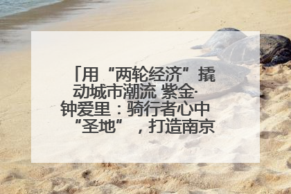用“两轮经济”撬动城市潮流 紫金·钟爱里：骑行者心中“圣地”，打造南京的“阿那亚”