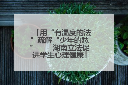 用“有温度的法”疏解“少年的愁”——湖南立法促进学生心理健康