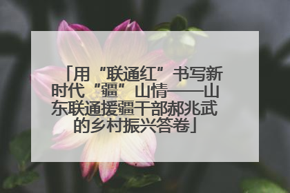用“联通红”书写新时代“疆”山情——山东联通援疆干部郝兆武的乡村振兴答卷