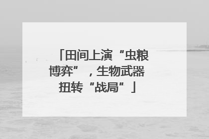 田间上演“虫粮博弈”，生物武器扭转“战局”