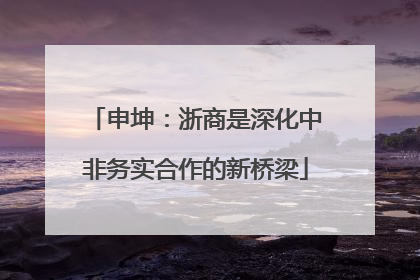 申坤：浙商是深化中非务实合作的新桥梁