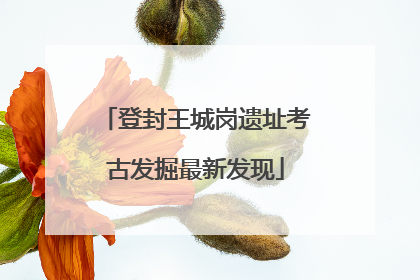 登封王城岗遗址考古发掘最新发现