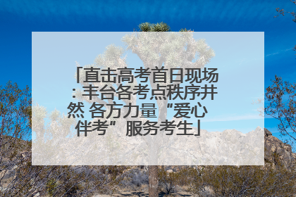 直击高考首日现场：丰台各考点秩序井然 各方力量“爱心伴考”服务考生