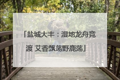 盐城大丰：湿地龙舟竞渡 艾香飘荡野鹿荡