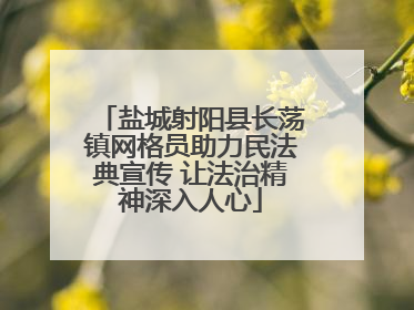 盐城射阳县长荡镇网格员助力民法典宣传 让法治精神深入人心