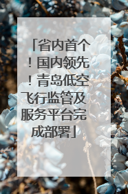 省内首个！国内领先！青岛低空飞行监管及服务平台完成部署