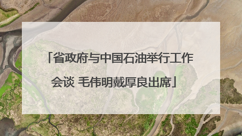 省政府与中国石油举行工作会谈 毛伟明戴厚良出席