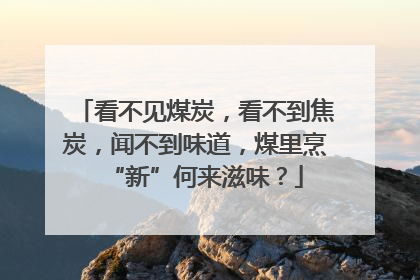 看不见煤炭，看不到焦炭，闻不到味道，煤里烹“新”何来滋味？
