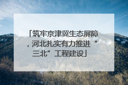 筑牢京津冀生态屏障，河北扎实有力推进“三北”工程建设