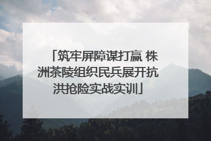 筑牢屏障谋打赢 株洲茶陵组织民兵展开抗洪抢险实战实训
