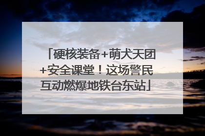 硬核装备+萌犬天团+安全课堂！这场警民互动燃爆地铁台东站