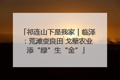 祁连山下是我家｜临泽：荒滩变良田 戈壁农业添“绿”生“金”