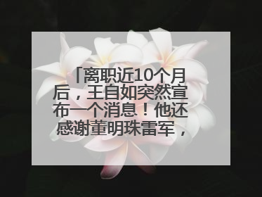 离职近10个月后，王自如突然宣布一个消息！他还感谢董明珠雷军，回应“没看过格力工资条”：真的不那么重要！