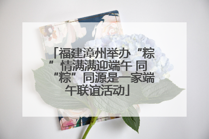 福建漳州举办“粽”情满满迎端午 同“粽”同源是一家端午联谊活动