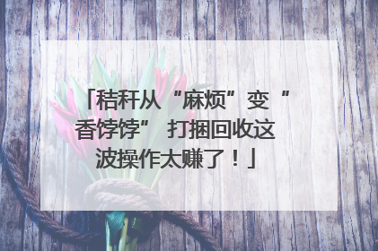 秸秆从“麻烦”变“香饽饽” 打捆回收这波操作太赚了！