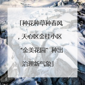 种花种草种春风，天心区金桂小区“金美花园”种出治理新气象