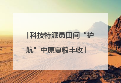 科技特派员田间“护航”中原夏粮丰收