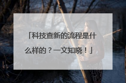 科技查新的流程是什么样的？一文知晓！