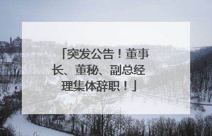 突发公告！董事长、董秘、副总经理集体辞职！