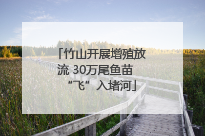 竹山开展增殖放流 30万尾鱼苗“飞”入堵河