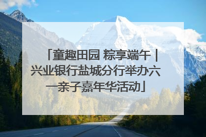童趣田园 粽享端午｜兴业银行盐城分行举办六一亲子嘉年华活动