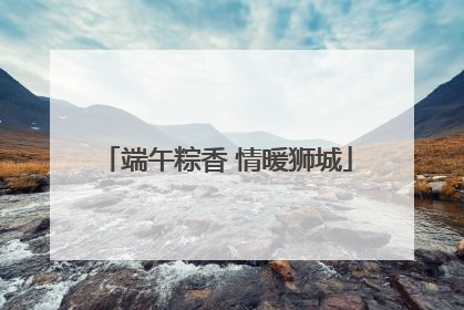 端午粽香 情暖狮城