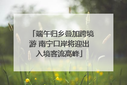 端午归乡叠加跨境游 南宁口岸将迎出入境客流高峰