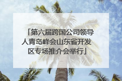 第六届跨国公司领导人青岛峰会山东省开发区专场推介会举行