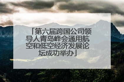 第六届跨国公司领导人青岛峰会通用航空和低空经济发展论坛成功举办