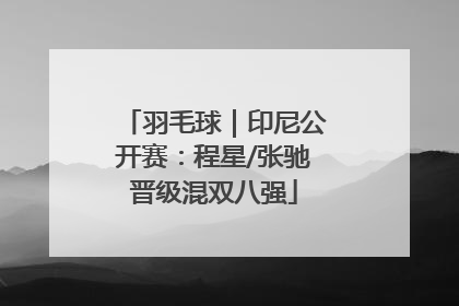 羽毛球｜印尼公开赛：程星/张驰晋级混双八强