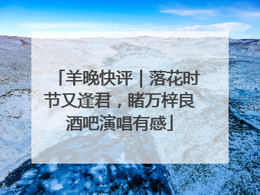 羊晚快评｜落花时节又逢君，睹万梓良酒吧演唱有感