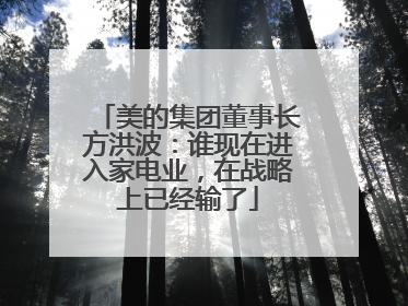 美的集团董事长方洪波：谁现在进入家电业，在战略上已经输了