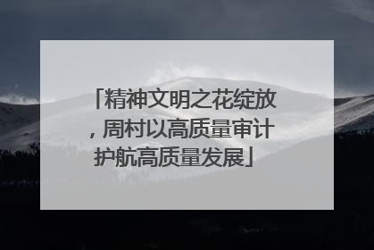 精神文明之花绽放，周村以高质量审计护航高质量发展