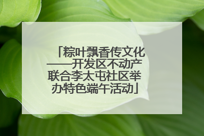 粽叶飘香传文化——开发区不动产联合李太屯社区举办特色端午活动