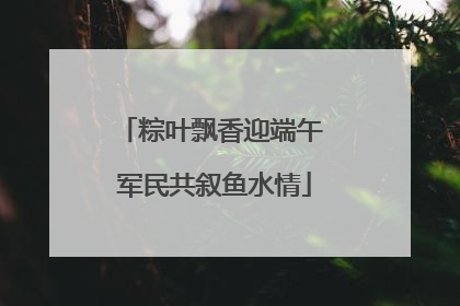 粽叶飘香迎端午 军民共叙鱼水情