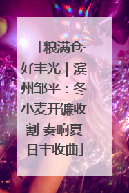粮满仓·好丰光｜滨州邹平：冬小麦开镰收割 奏响夏日丰收曲