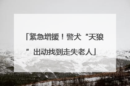 紧急增援！警犬“天狼”出动找到走失老人